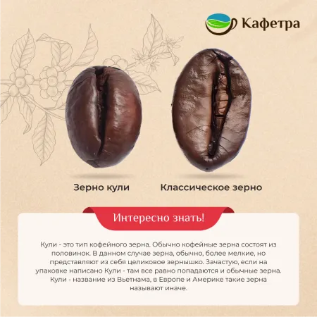 Вьетнамский кофе в зернах Слон Премиум (Elephant Premium) - BAO